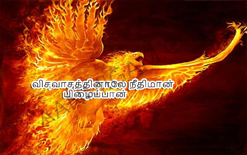விசுவாசத்தினாலே-நீதிமான்-பிழைப்பான்