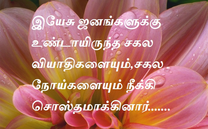 இயேசு ஜனங்களுக்கு உண்டாயிருந்த சகல வியாதிகளையும்,சகல நோய்களையும் நீக்கி சொஸ்தமாக்கினார்