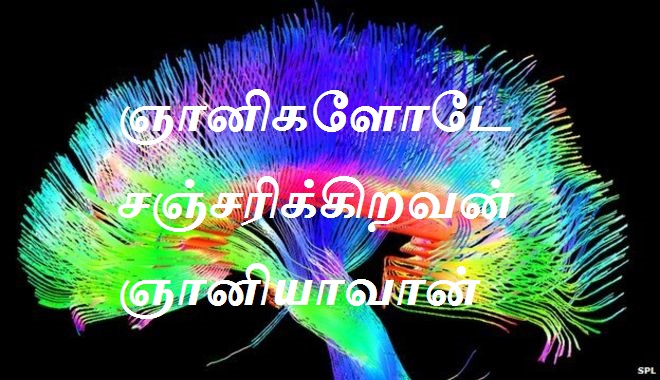 ஞானிகளோடே சஞ்சரிக்கிறவன் ஞானியாவான்