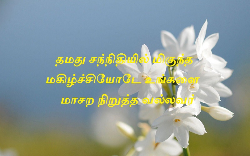தமது சந்நிதியில் மிகுந்த மகிழ்ச்சியோடே உங்களை மாசற நிறுத்த வல்லவர்
