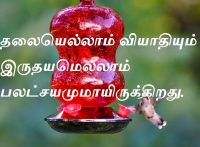 தலையெல்லாம் வியாதியும் இருதயமெல்லாம் பலட்சயமுமாயிருக்கிறது.