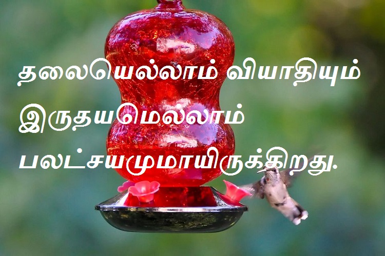 தலையெல்லாம் வியாதியும் இருதயமெல்லாம் பலட்சயமுமாயிருக்கிறது.
