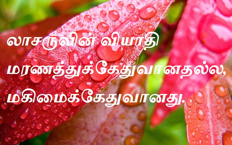 லாசருவின் வியாதி மரணத்துக்கேதுவானதல்ல,மகிமைக்கேதுவானது.