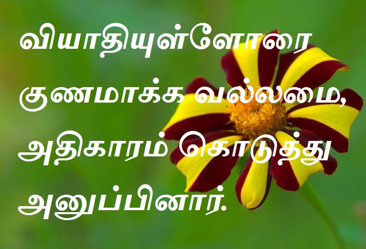 வியாதியுள்ளோரை குணமாக்க வல்லமை, அதிகாரம் கொடுத்து அனுப்பினார்