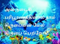 அவருடைய பரிபூரணத்தினால் நாம் கிருபையின் மேல் கிருபை பெற்றோம்.