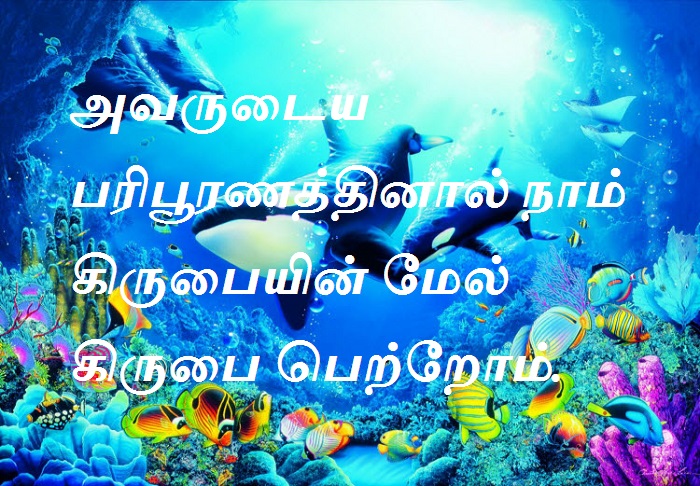 அவருடைய பரிபூரணத்தினால் நாம் கிருபையின் மேல் கிருபை பெற்றோம்.