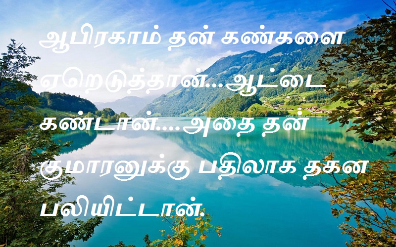 ஆபிரகாம் தன் கண்களை ஏறெடுத்தான்...ஆட்டை கண்டான்....அதை தன் குமாரனுக்கு பதிலாக தகன பலியிட்டான்.