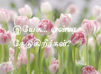இயேசு... என்ன தேடுகிறீர்கள்