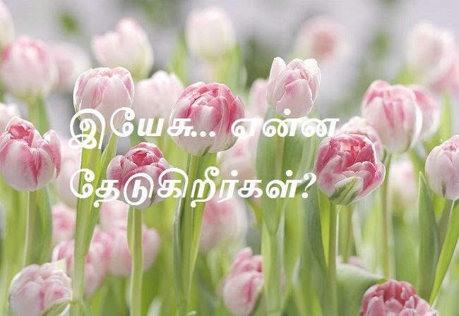 இயேசு... என்ன தேடுகிறீர்கள்