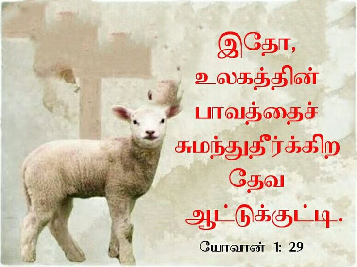 உலகத்தின் பாவத்தைச் சுமந்துதீர்க்கிற தேவ ஆட்டுக்குட்டி
