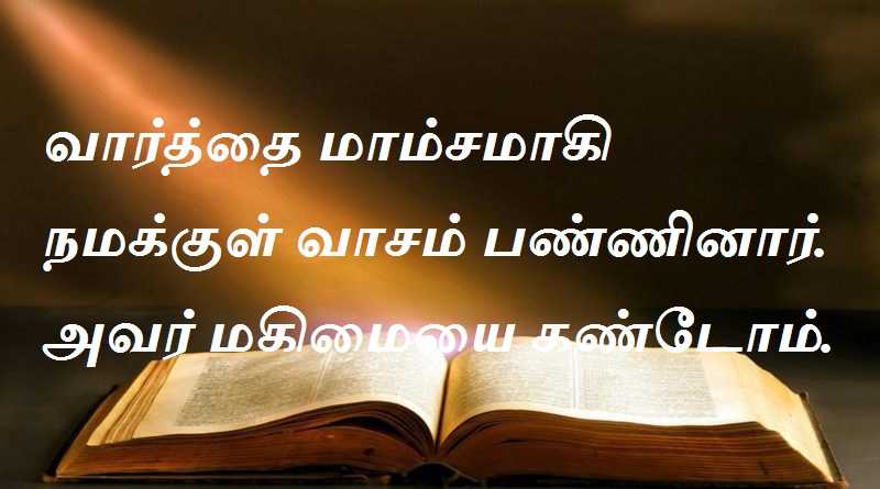வார்த்தை மாம்சமாகி நமக்குள் வாசம் பண்ணினார். அவர் மகிமையை கண்டோம்.