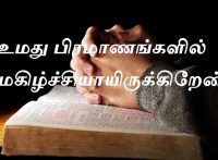 உமது பிரமாணங்களில் மகிழ்ச்சியாயிருக்கிறேன்.