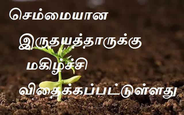 செம்மையான