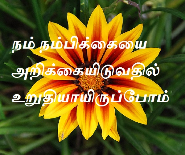 நம்பிக்கையை