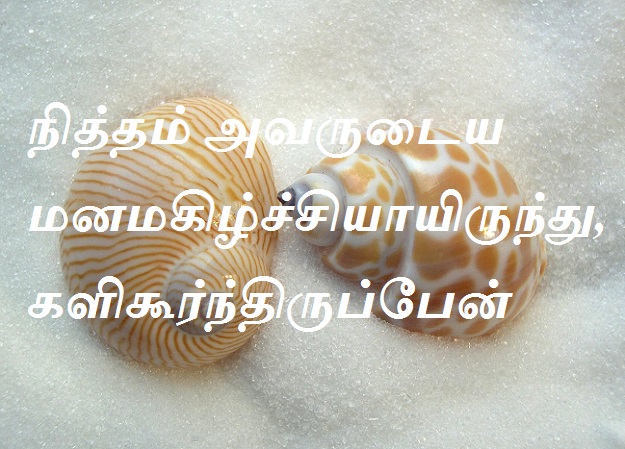 செல்லப் பிள்ளையாயிருந்தேன்