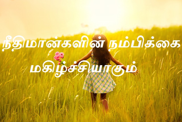 நீதிமான்களின் நம்பிக்கை மகிழ்ச்சியாகும்