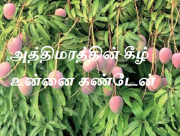 அத்திமரத்தின் கீழ் உன்னை கண்டேன்.