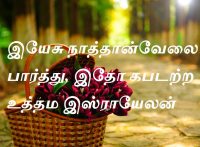 இயேசு நாத்தான்வேலை பார்த்து, இதோ கபடற்ற உத்தம இஸ்ராயேலன்