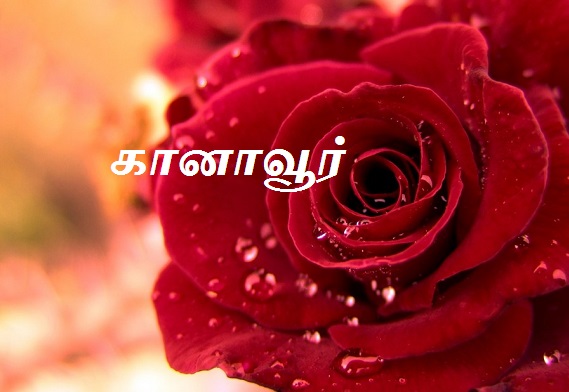 கானாவூர்