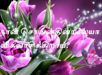 நான் சொன்னதினாலேயா விசுவாசிக்கிறாய்