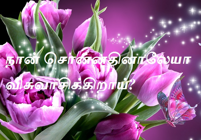 நான் சொன்னதினாலேயா விசுவாசிக்கிறாய்