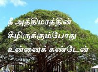 நீ அத்திமரத்தின் கீழிருக்கும்போது உன்னைக் கண்டேன்.