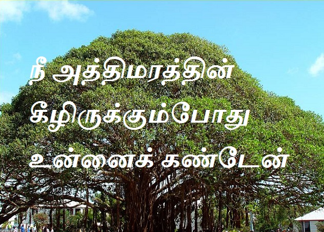 நீ அத்திமரத்தின் கீழிருக்கும்போது உன்னைக் கண்டேன்.