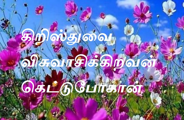 கிறிஸ்துவை விசுவாசிக்கிறவன் கெட்டுபோகான்.