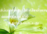 சர்ப்பமானது