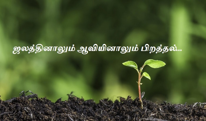 ஜலத்தினாலும் ஆவியினாலும் பிறத்தல்
