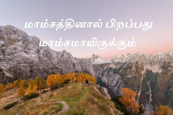 மாம்சத்தினால் பிறப்பது மாம்சமாயிருக்கும்