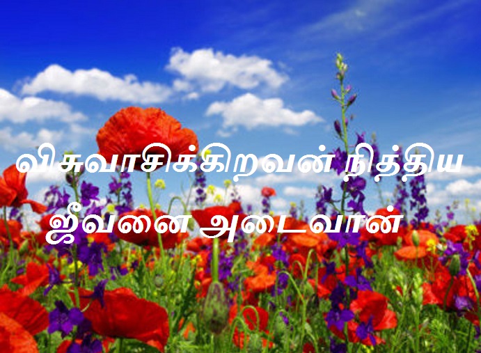 நித்திய ஜீவனை