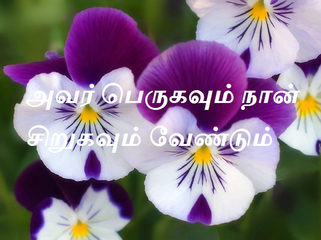 பெருகவும்