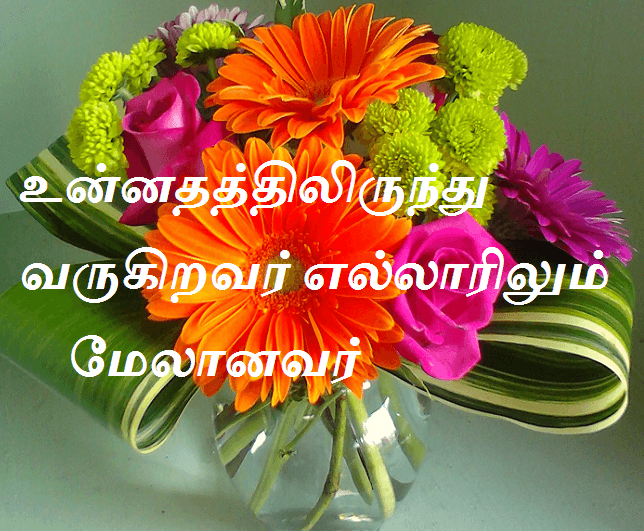 உன்னதத்திலிருந்து வருகிறவர் எல்லாரிலும் மேலானவர்