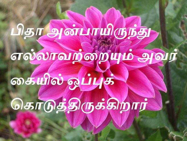 பிதா அன்பாயிருந்து எல்லாவற்றையும் அவர் கையில் ஒப்புக்கொடுத்திருக்கிறார்.