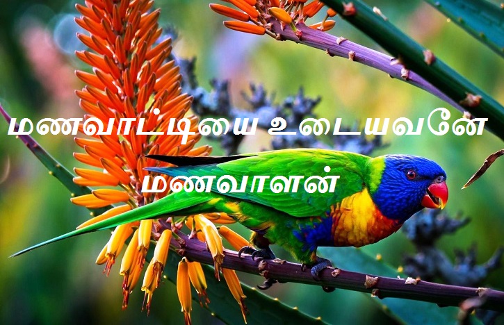 மணவாளன்