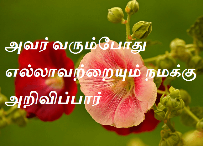 அவர் வரும்போது எல்லாவற்றையும் நமக்கு அறிவிப்பார்.