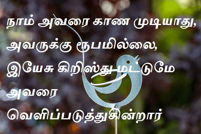 இயேசு கிறிஸ்து மட்டுமே அவரை வெளிப்படுத்துகின்றார்.