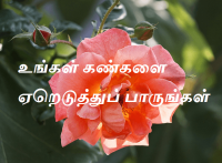 கண்களை