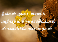 காணாவிட்டால்