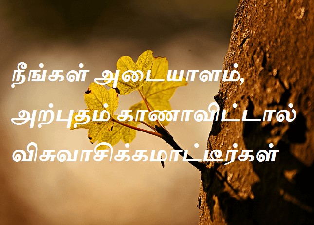 காணாவிட்டால்