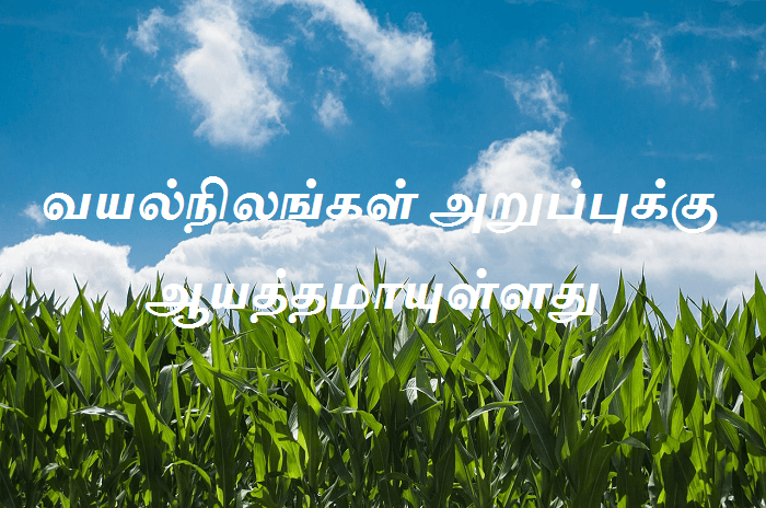 வயல்நிலங்கள்