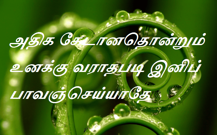 பாவஞ்செய்யாதே
