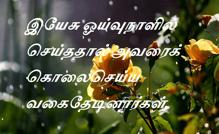 இயேசு ஓய்வுநாளில் செய்ததால் அவரைக் கொலைசெய்ய வகைதேடினார்கள்