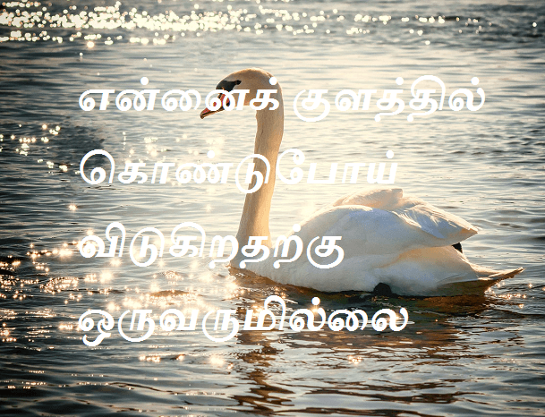 ஒருவருமில்லை