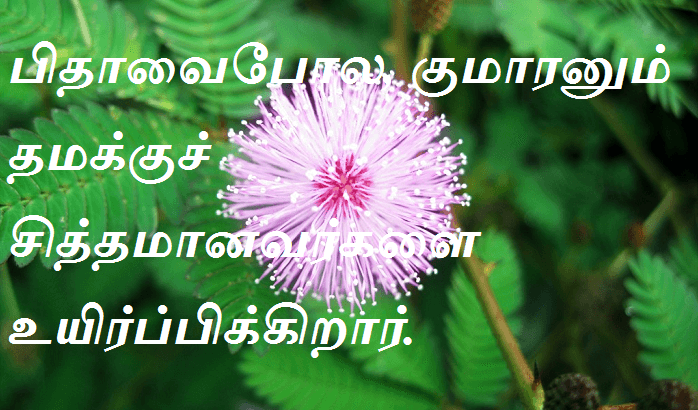 சித்தமானவர்களை