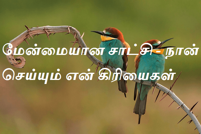 மேன்மையான சாட்சி - நான் செய்யும் என் கிரியைகள்
