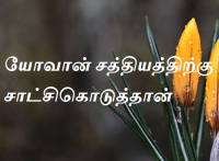 சத்தியத்திற்கு