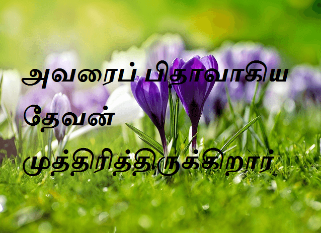 முத்திரித்திருக்கிறார்