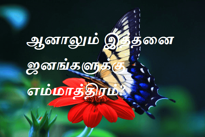 இத்தனை